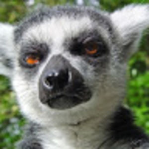 Meet your Posher, Tim